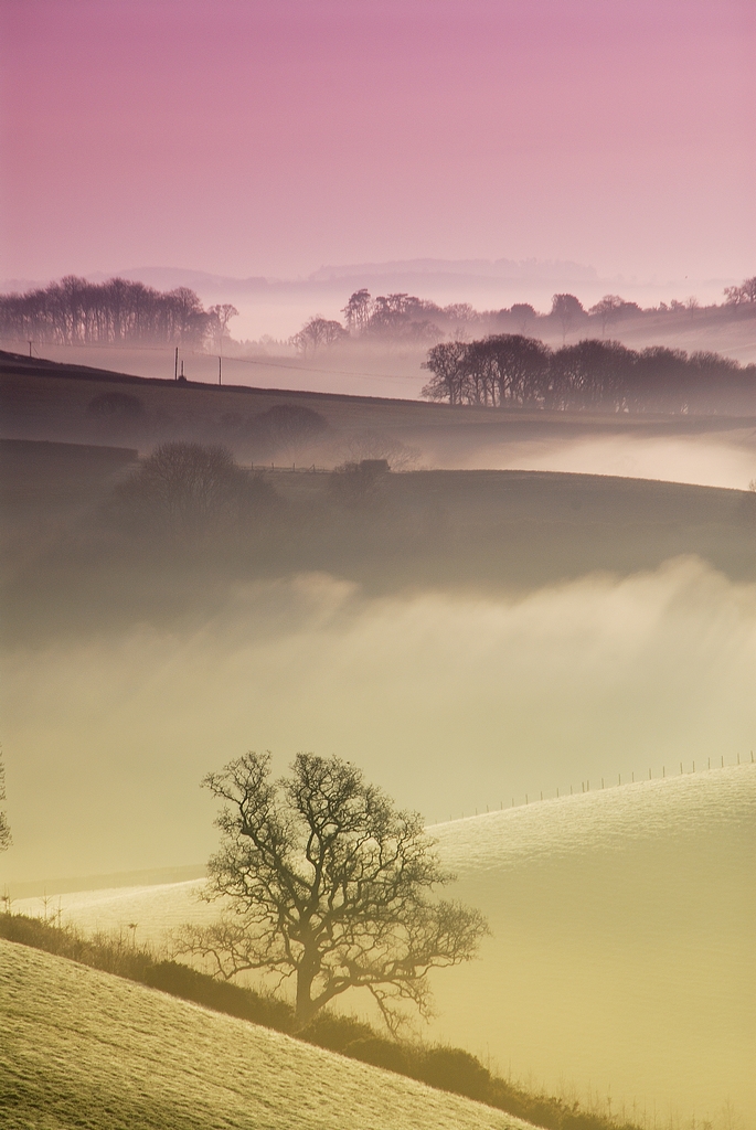 Devon Sunrise