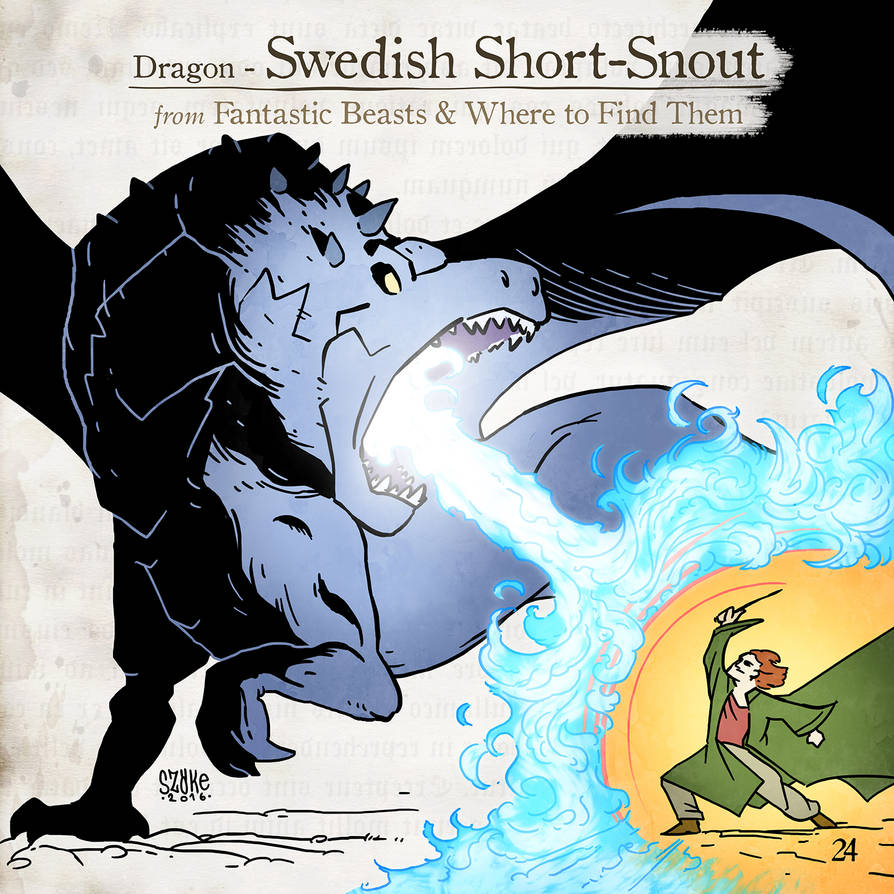 Short Snout Example Swedish Short-Snout by SzokeKissMarton on DeviantArt