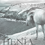 Ithenia banner