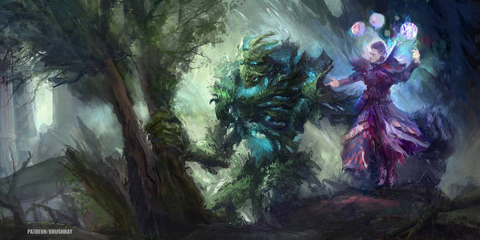 Wizard's pet