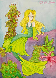 Succulent Mermaid
