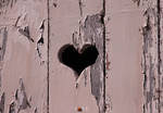 OLD LOVE by ANOZER