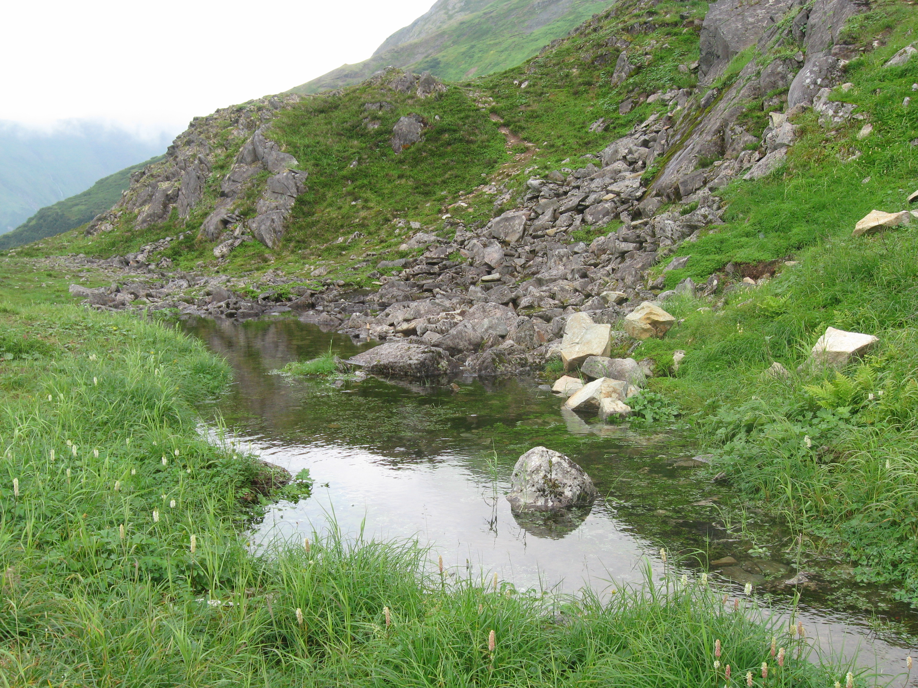 Mountain Pond