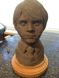 Wip: Harry Potter Bust