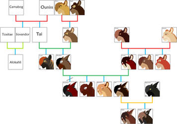 Amenthus' Extended Family