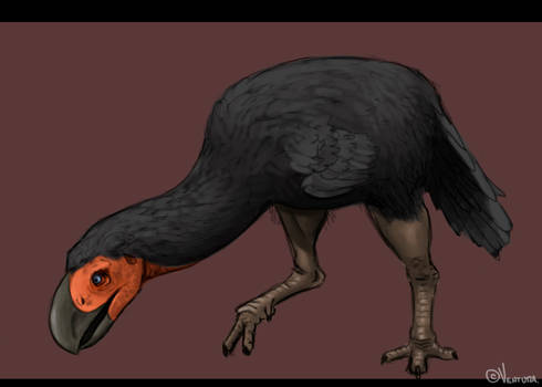 Explore the Best Gastornis Art | DeviantArt