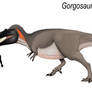 Gorgosaurus libratus (adult version).