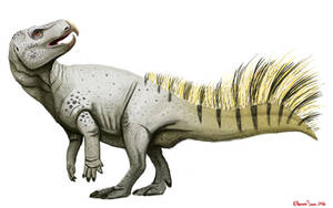 Ajkaceratops