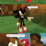 Shadow and Knuckles' Quarrel