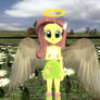 The Shy Angel