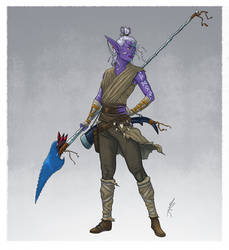 Drow Monk