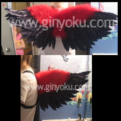 Red and Black wings