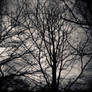 I'm lost