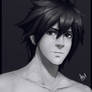 Gray Fullbuster