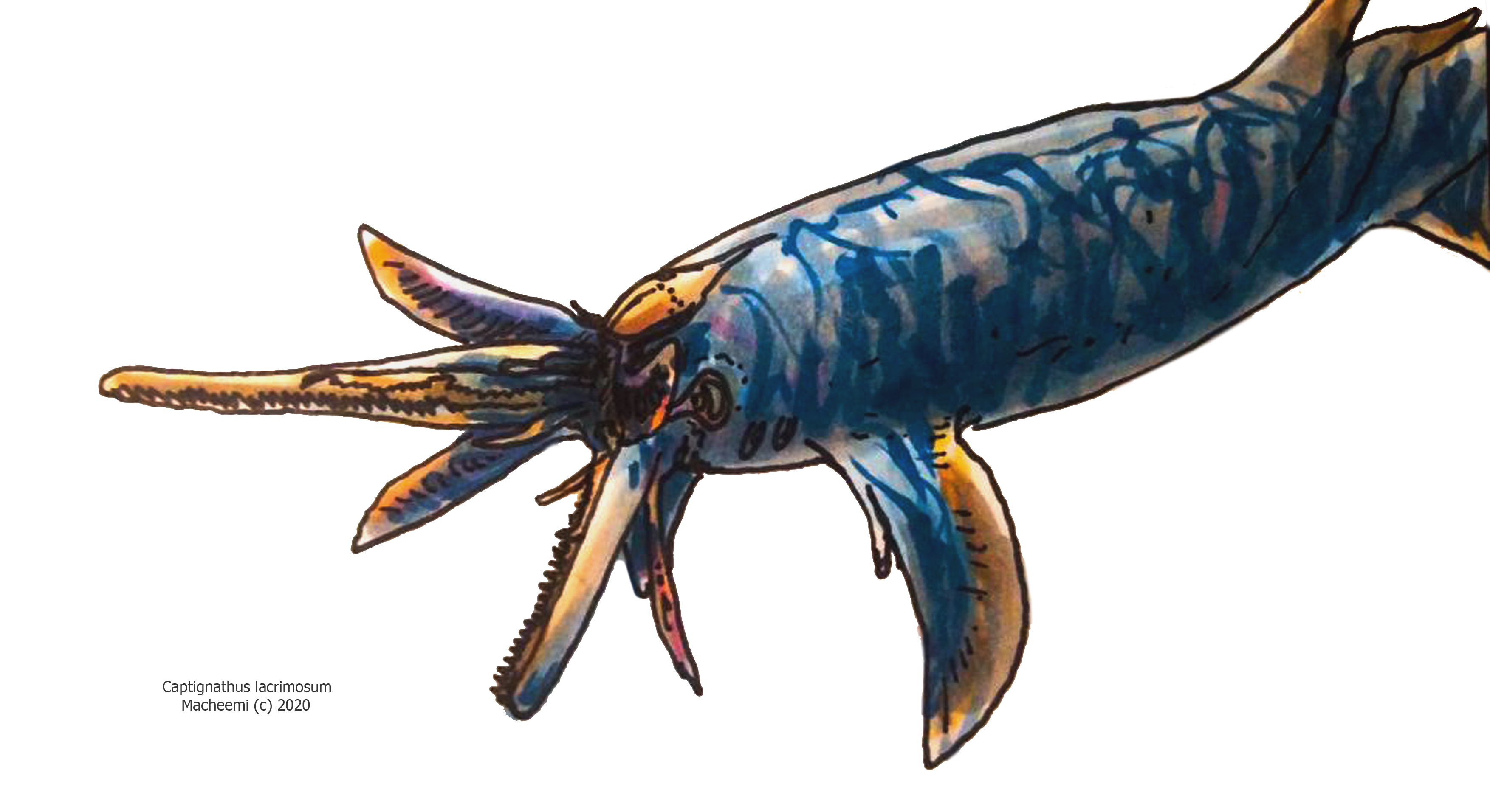 The Crying Snapjaw by MacheeMi on DeviantArt