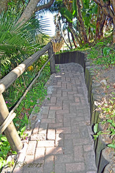 Pathway 2