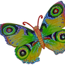 Butterfly 2 png