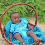 Baby Blue in basket