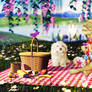 Spring Picnic