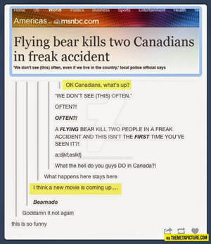 Flying bears...