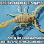 Scorpions...