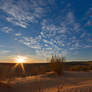 Kalahari Desert Morning