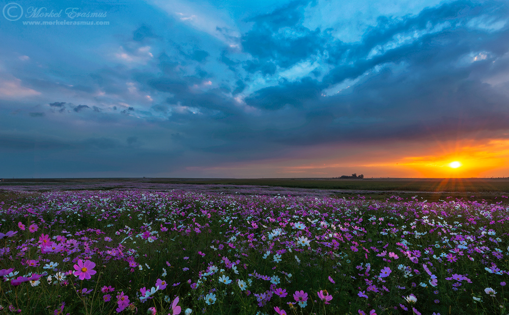 Sunset over the Cosmos