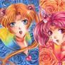 Chibi Moon and Sailor Moon