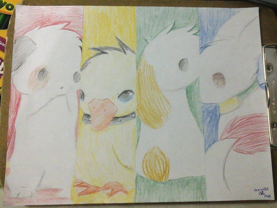 Small Animals Colors