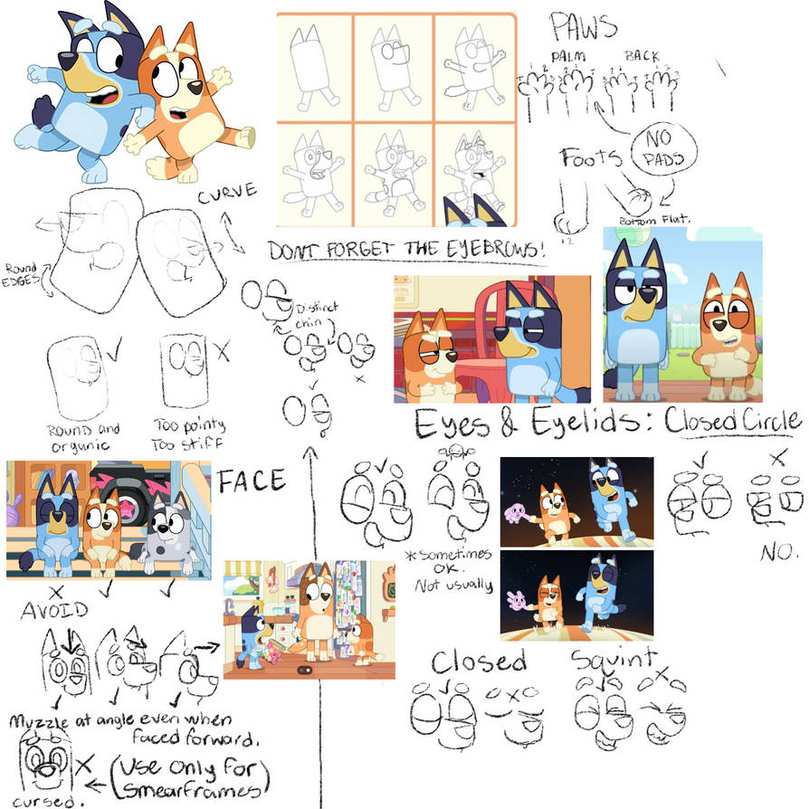 Bluey artstyle analysis reference sheet by WelcomeToDennys on DeviantArt