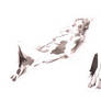 Reclining nude 02.11.12