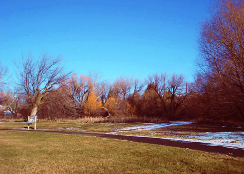 A day at the Park 3