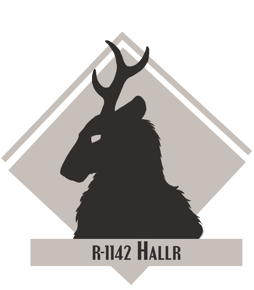 Hall R R-1142 Hallr Tracker by LEM0NLION on DeviantArt