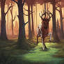 Forest ablaze | FoV