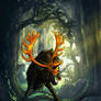 Forest or labyrinth | FoV