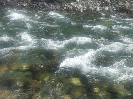 Glacial River - Denali Park