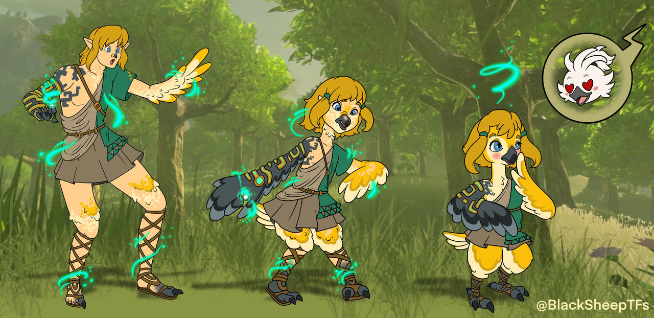 Link Rito TFTG - Comm by BlackSheepTFs on DeviantArt