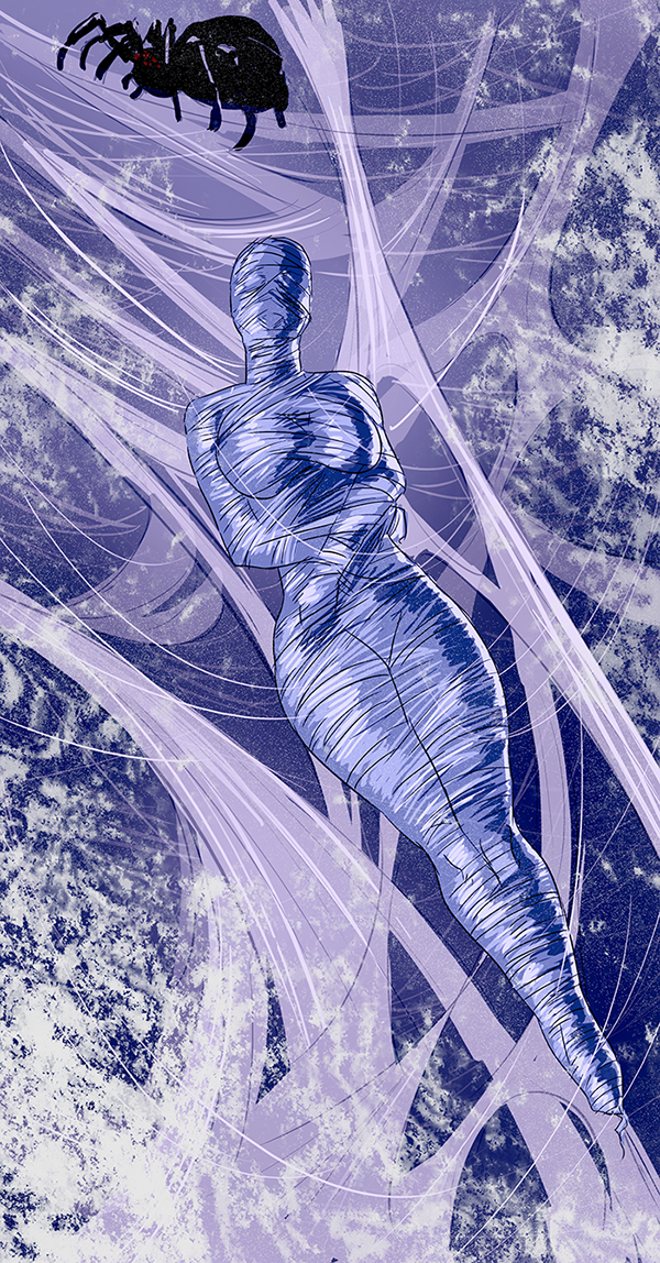 trapped spider web by Platamatina on DeviantArt