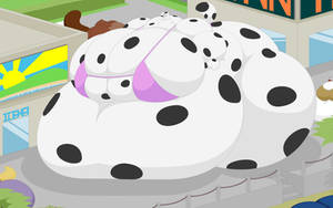 Dalmatian Rolled In On The Boardwalk