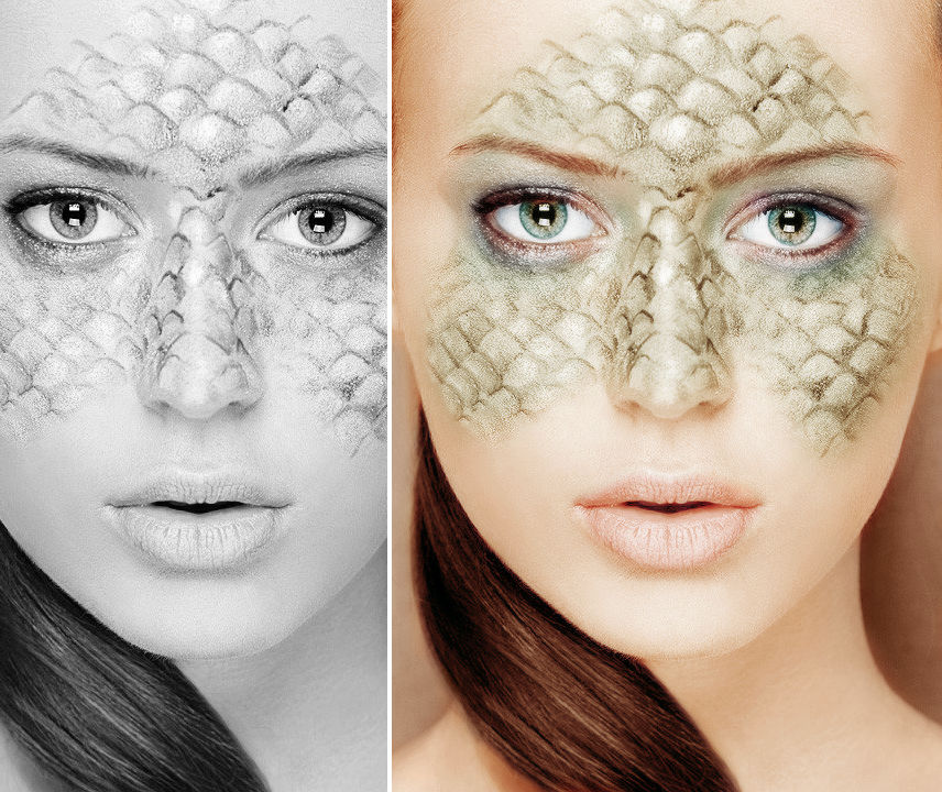 Colorization Anything Model Model colorization. by Spenne on DeviantArt