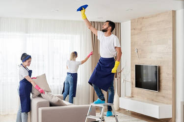 Professional Cleaning Services