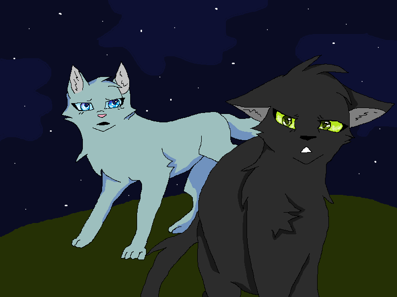 Cinderheart confronts Hollyleaf