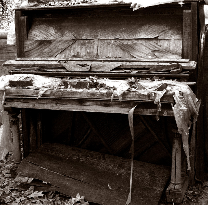 Rotting Piano