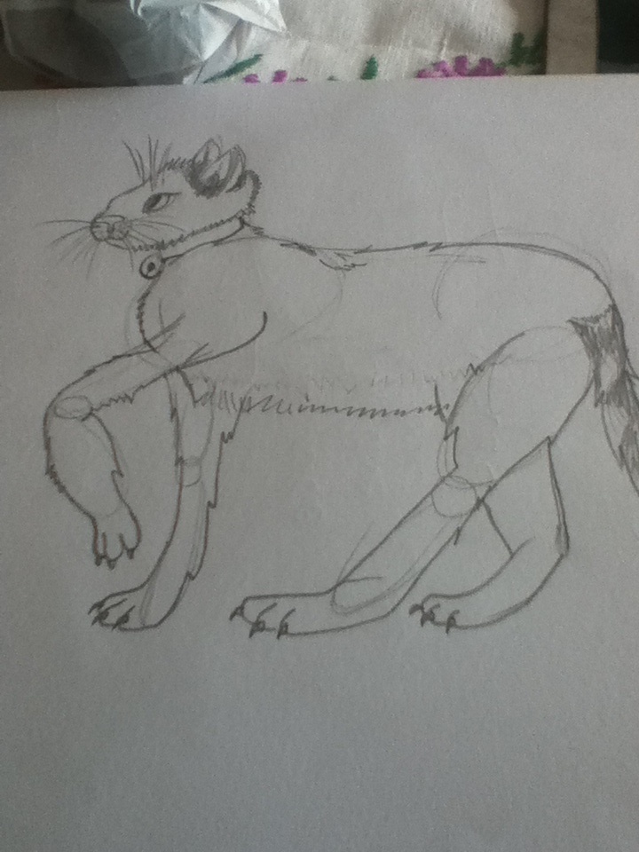 Cat drawing ( fail ) by cliveklausdove on DeviantArt