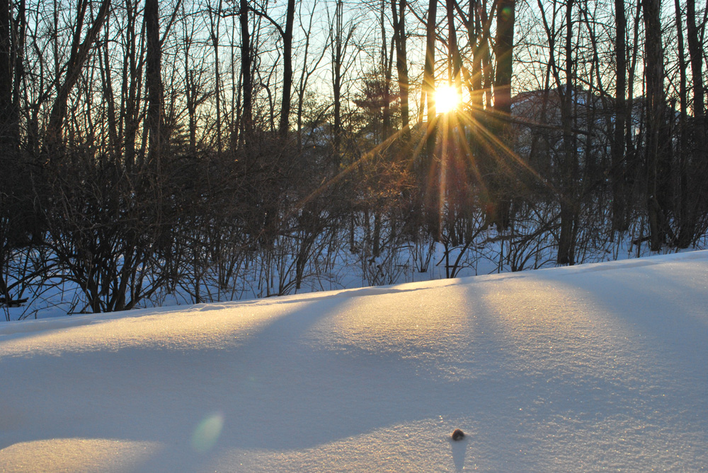 Winter Sunrise 2