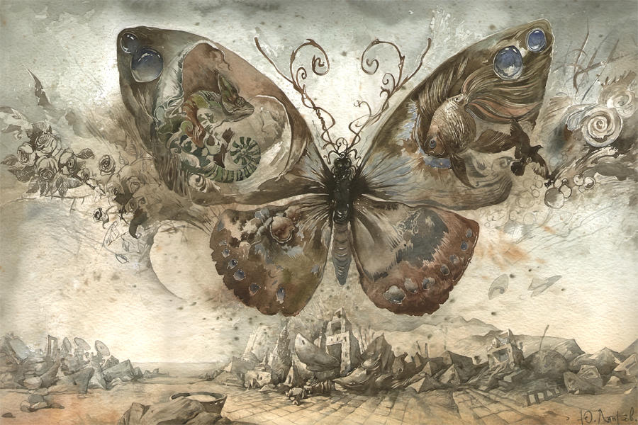Метаморфозы эпоха. Картина бабочки.