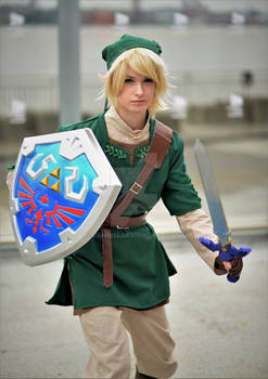 Link - Legend Of Zelda Cosplay