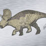 Variant I Triceratops male