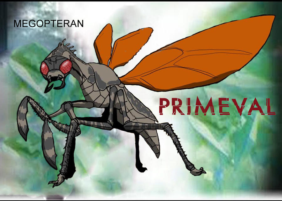 Meg As An Insect Megopteran by kingrexy on DeviantArt