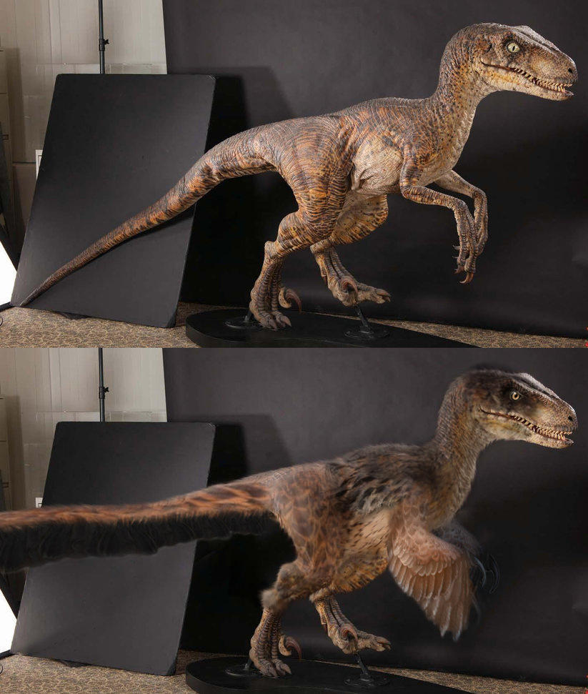 Rayvelk Raptor Raptor by kingrexy on DeviantArt